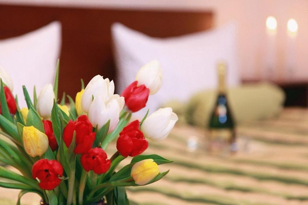 Comfort Single Room